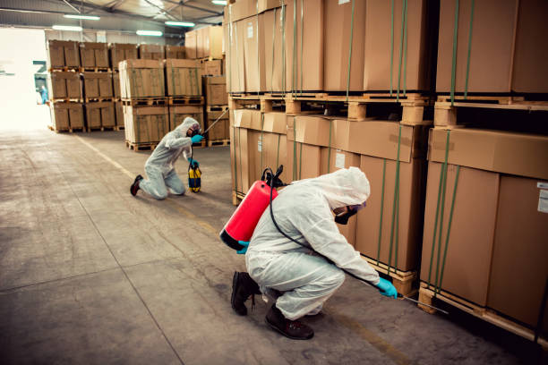 Best Wasp Removal Services  in Ashland, KY