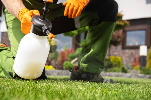 Best Pest Inspection Near Me  in Ashland, KY