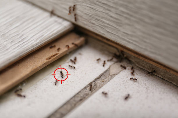 Best Commercial Pest Control Services  in Ashland, KY