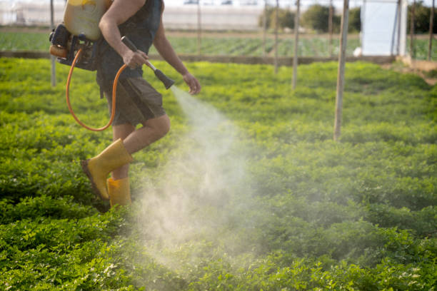 Best Pest Control Near Me  in Ashland, KY