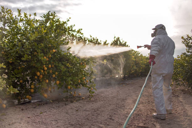  Ashland, KY Pest Control Pros