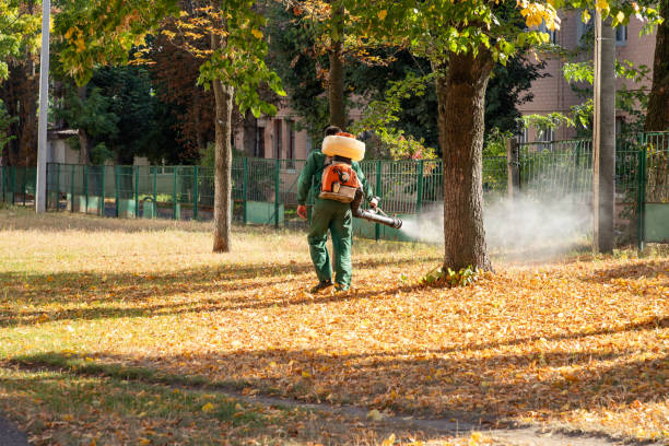 Trusted Ashland, KY Pest Control Experts