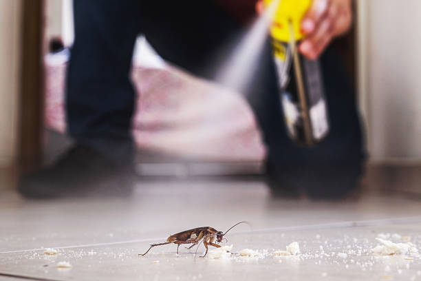 Best Cockroach Control Services  in Ashland, KY