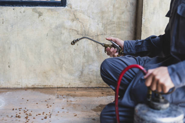 Best Termite Control Services  in Ashland, KY